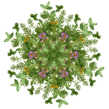 Kaleidoscope From Wild Flowers And Grasses.
