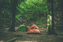 Camping Tents In A Forest