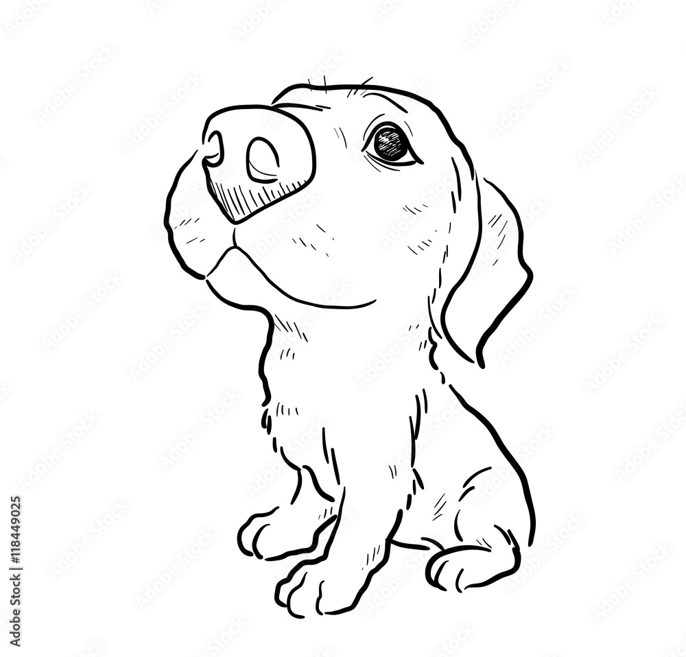 Puppy Dog Sketch. A hand drawn vector illustration of a cute puppy ...