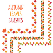 Autumn Leaves Border. 3 Hand Drawn Decorative Vector Brushes With Inner And Outer Corners. Seasonal Ornaments With Maple, Oak, Aspen And Elms.
