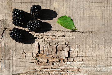 Wall Mural - Organic wild blackberries on wooden board