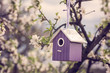 Birdhouse hanging on a tree, in the middle of an almond trees plantation, hanami season