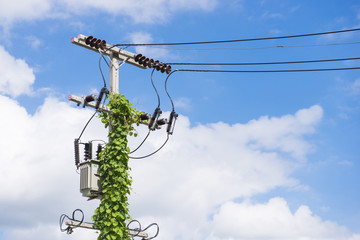 electric pole power line