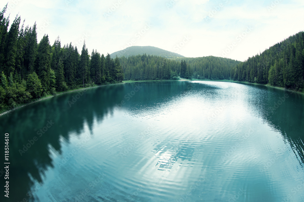 Beautiful mountain lake in forest