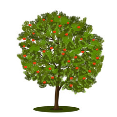 Wall Mural - tree rowan with green leaves