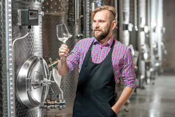 Wall Mural - Portrait of a handsome wine maker in working apron with the wine glass at the manufacture with metal tanks for wine fermentation. Wine production at the modern factory