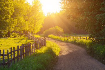 Rural Sweden summer sunny landscape with road, green trees and wooden fence. Adventure scandinavian hipster concept