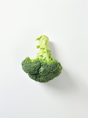 Canvas Print - Fresh head of broccoli