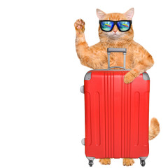 Wall Mural - Red cat wearing sunglasses with a suitcase. Isolated on white background.	