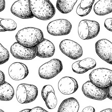 Potato Vector Seamless Pattern. Hand Drawn Food Background.