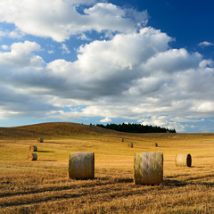 Wall Mural - bales of straw in stubble field during harvest, warm light of the setting sun, summer landscape unde