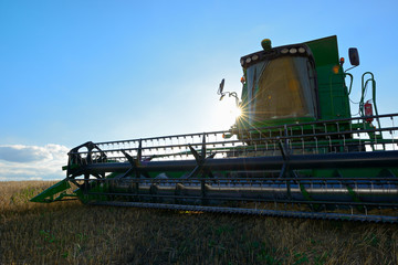 Wall Mural - Combine Harvester in Barley Field during Harvest backlit by sun