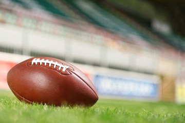 Wall Mural - American football ball on a green grass