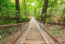 Suspension Bridge In The Quiet Forest