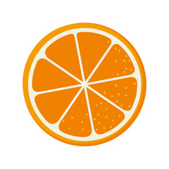 orange fruit food natural organic nutrition nature vector illustration