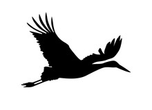 Stork Bird. Vector Silhouette
