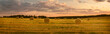 Landschaft im Sommer, abgeerntetes Kornfeld, Panorama