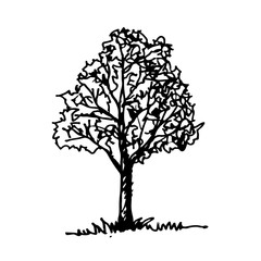 Wall Mural - Doodle tree icon hand draw illustration design