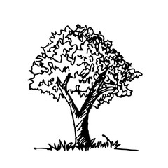 Wall Mural - Doodle tree icon hand draw illustration design