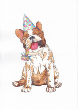 French Bulldog With Party Hat And Whistle On A White Background