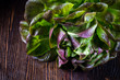 Organic Red Oakleaf lettuce