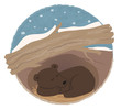 Bear Hibernating - Clip art of a bear sleeping in his den. Eps10
