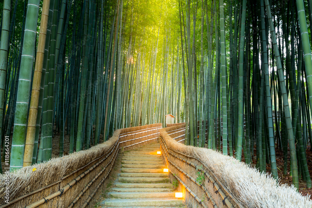 Arashiyama Bamboo Forest - obrazy, fototapety, plakaty 