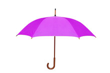 Purple Umbrella In White Background