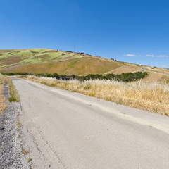 Canvas Print - Road between Fields