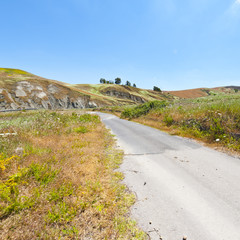 Canvas Print - Road between Fields