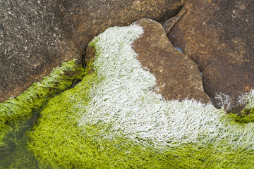 Wall Mural - rocky coastal detail