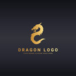 Dragon logo. Logo template suitable for businesses and product names. Easy to edit, change size, color and text. 
