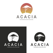 Acacia Logo. Africa Tree Logotype. 