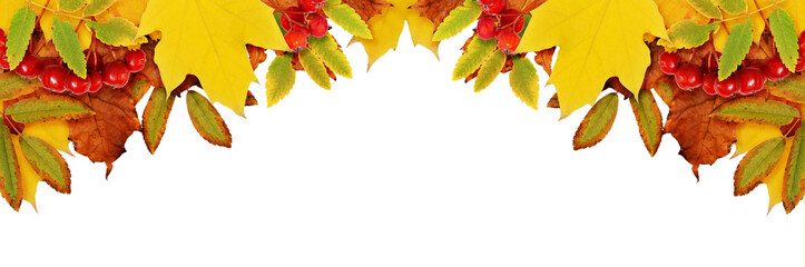autumn background with dried leaves in a corner