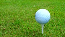 Golfers Sticks A White Golf Ball On The Special Holder 