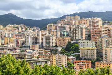 Wall Mural - Genoa old city view from the mountain