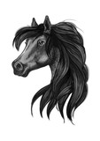 Fototapeta Konie - Black arabian horse head symbol