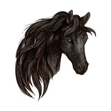 Fototapeta Konie - Black horse head watercolor portrait