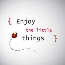 Inspirational Quote. "Enjoy The Little Things" On A Grey Background With A Ladybird