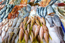 Rows Of Various Raw Fish On Ice For Sale