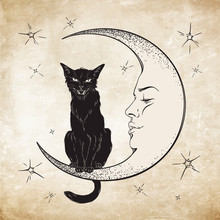 Black Cat Sitting On The Moon. Wiccan Familiar Spirit Vector
