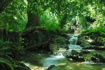  panorama view of nice waterfall and pond in green tropical environment