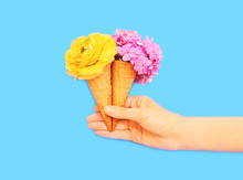 Hand Holding Two Ice Cream Cone With Flowers Over Blue Backgroun