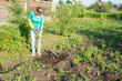 © Radnatt - young woman weeding potato sprouts using hoes