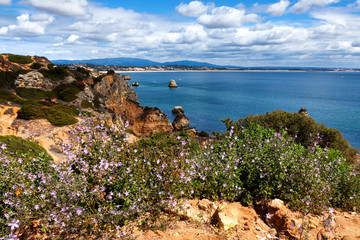 Wall Mural - Coastline Algarve with flowers in the spring. Portugal, near Lagos