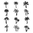Tropical palm tree vector icons set. Silhouettes on the white background