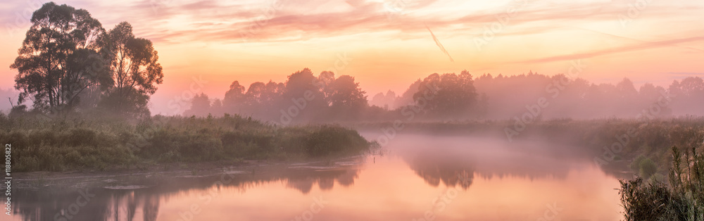 Foggy river in the morning - obrazy, fototapety, plakaty 