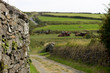 Stone wall and country lane the Cregneash village Isle of Man