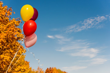 Canvas Print - Balloons