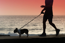 Silhouette Of A Young Man Walking A Dog Along The Shore At Sunset